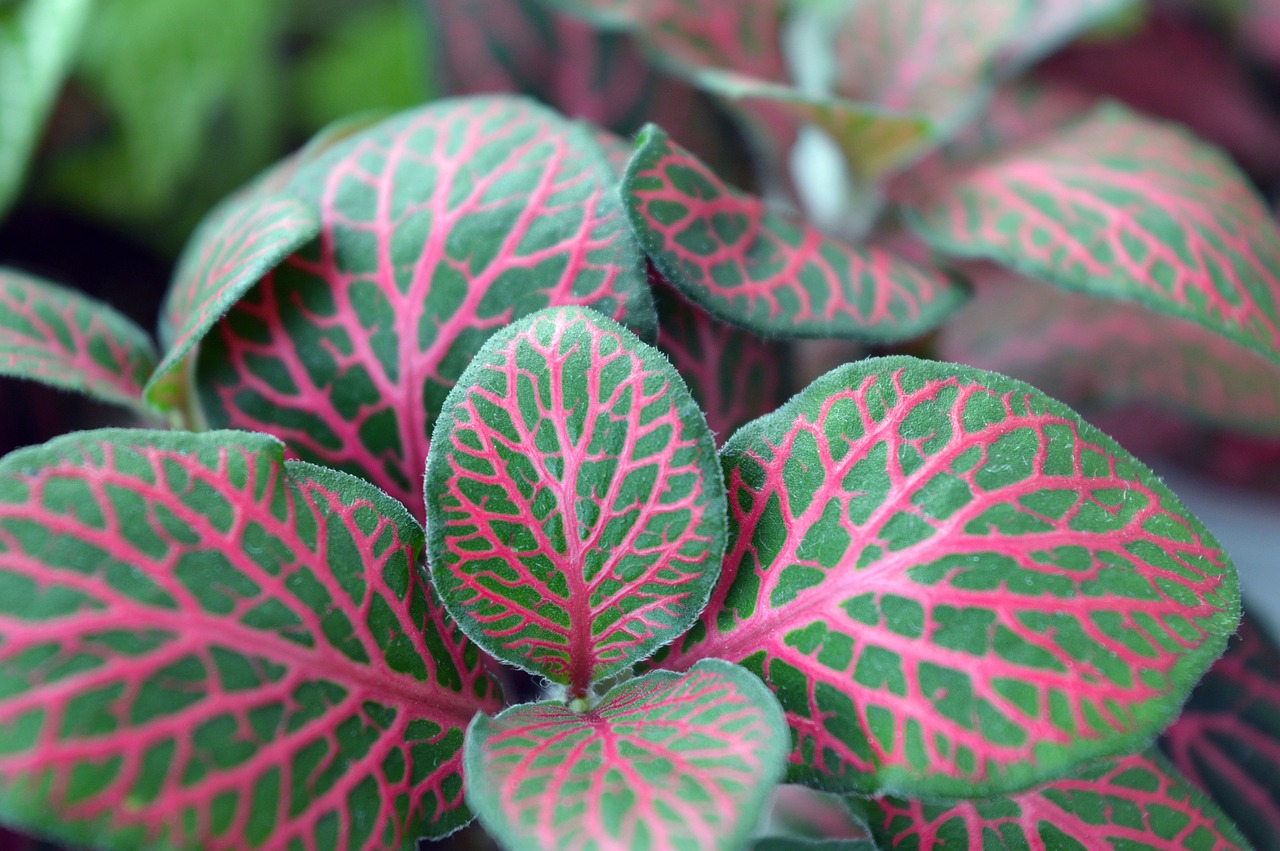 How to Create Your Own Indoor Vertical Garden